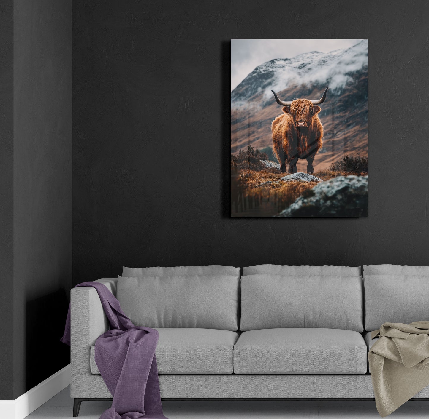 Highland Cattle In The Mountains