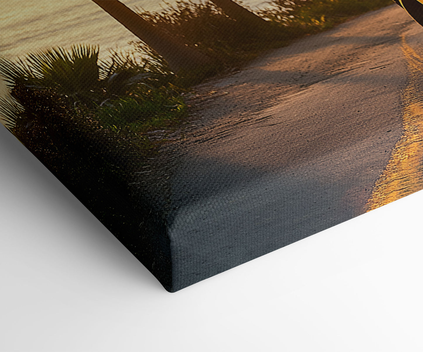 Coastal Road