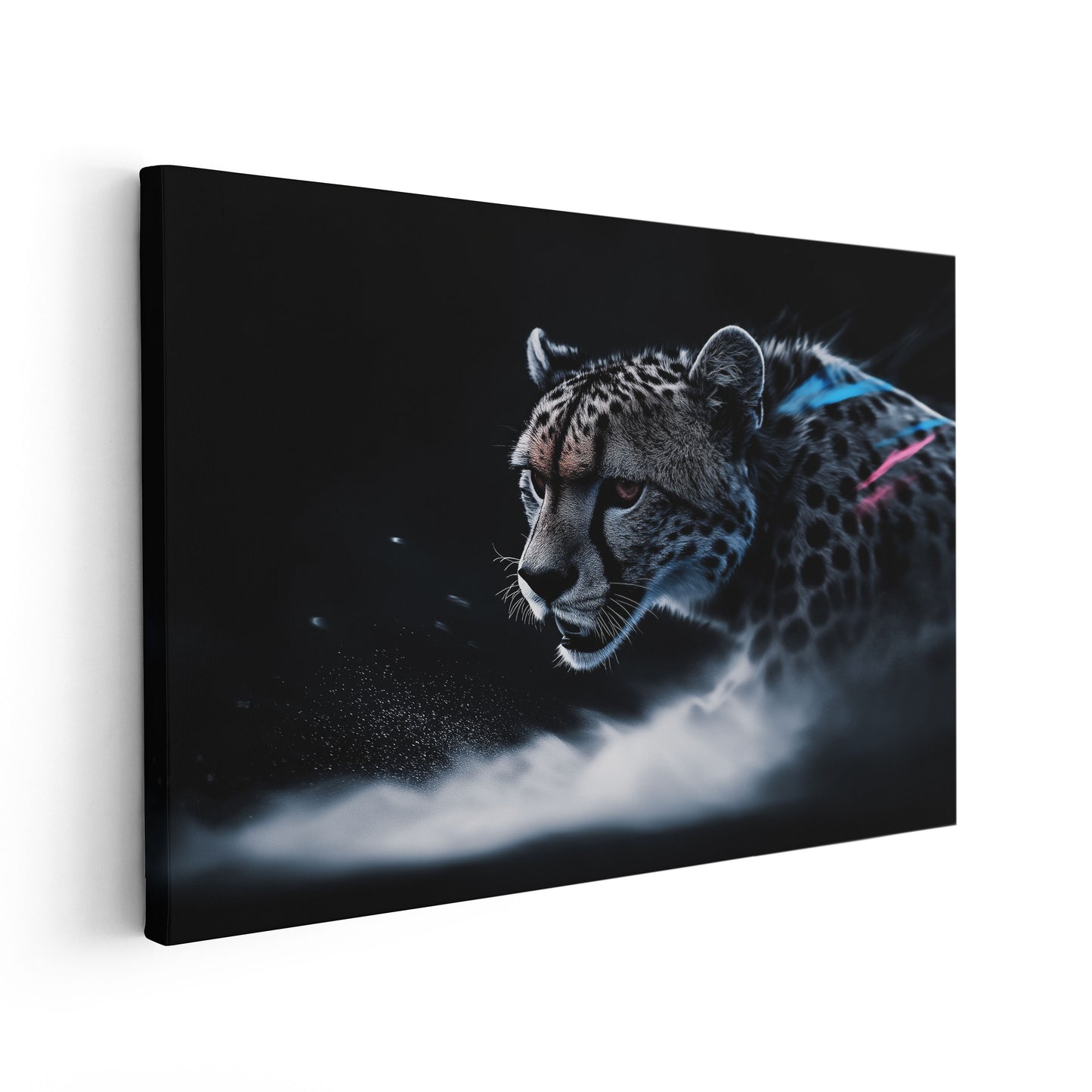 Cheetah in the Dark