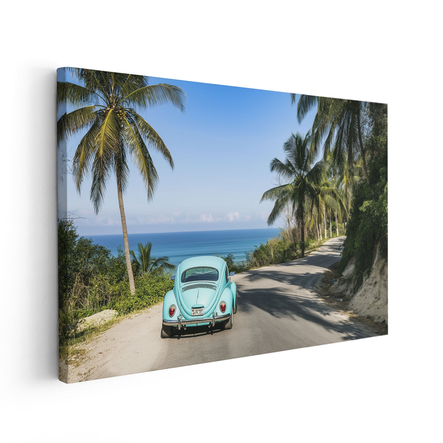 Beetle Vacation