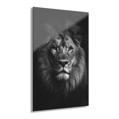 Lion Black & White