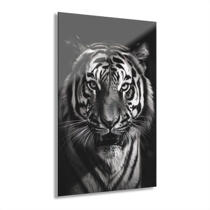 Tiger Black & White