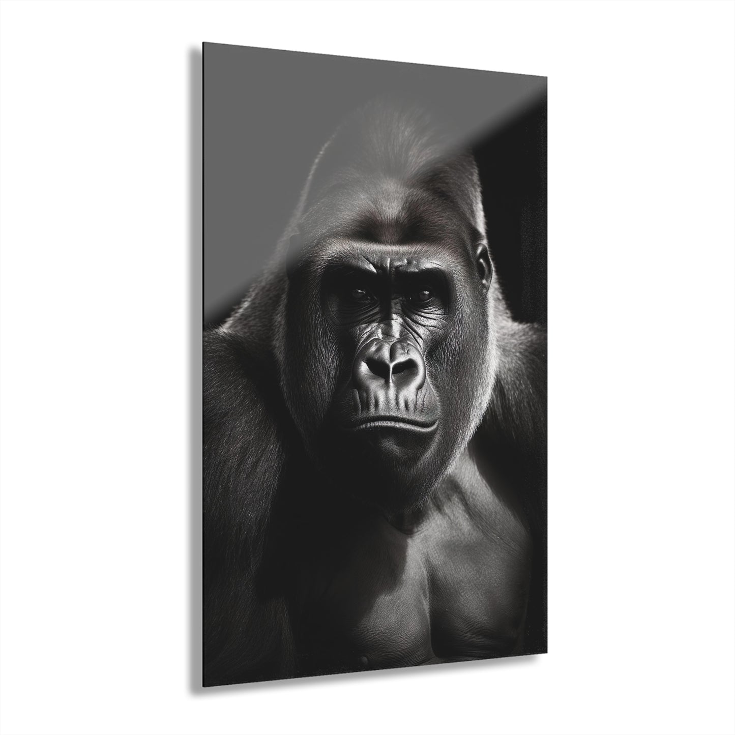 Gorilla Black & White