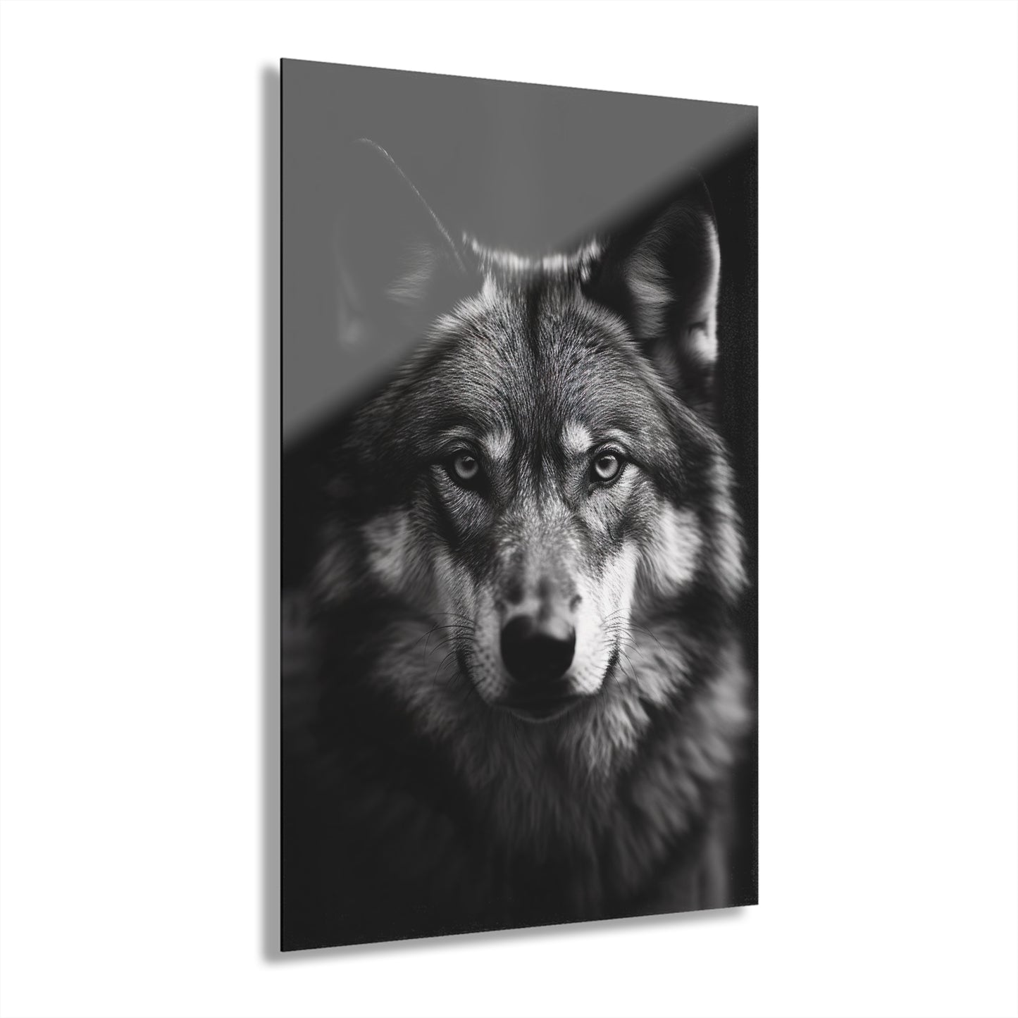 Wolf Black & White