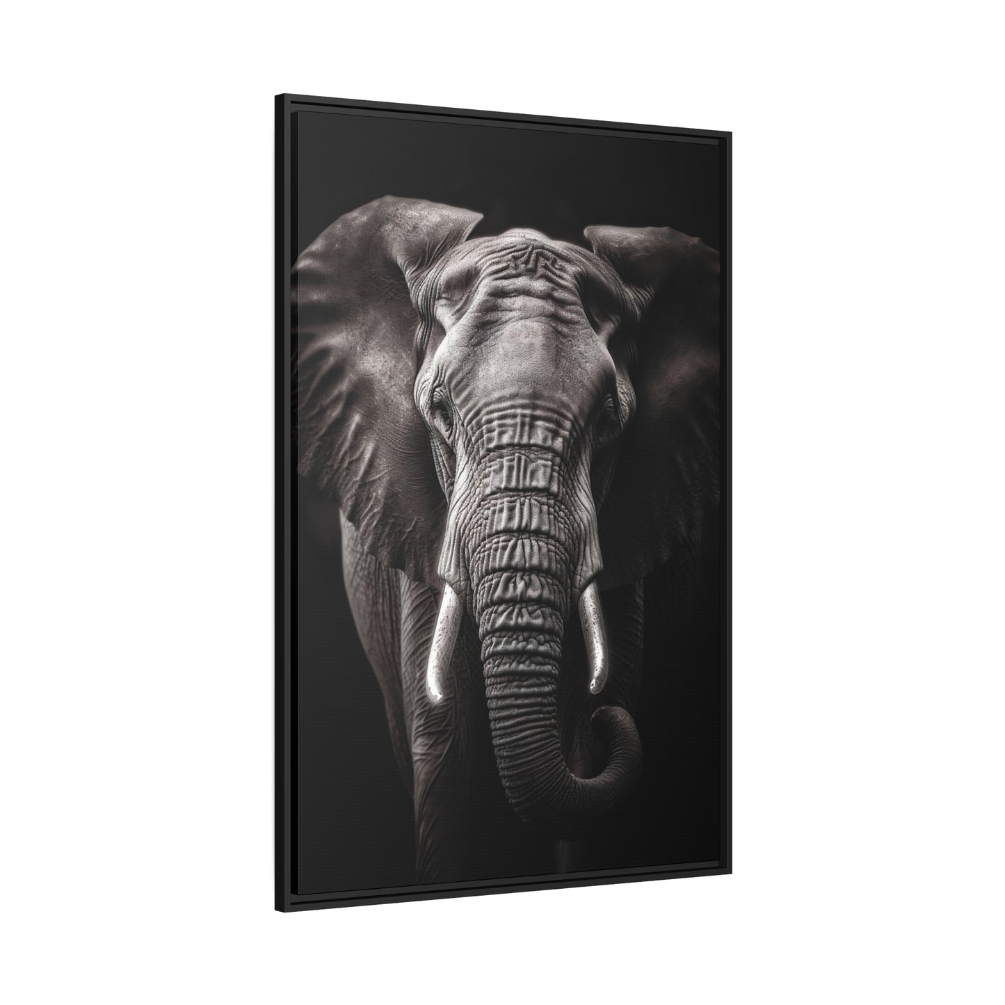 Elephant Black & White