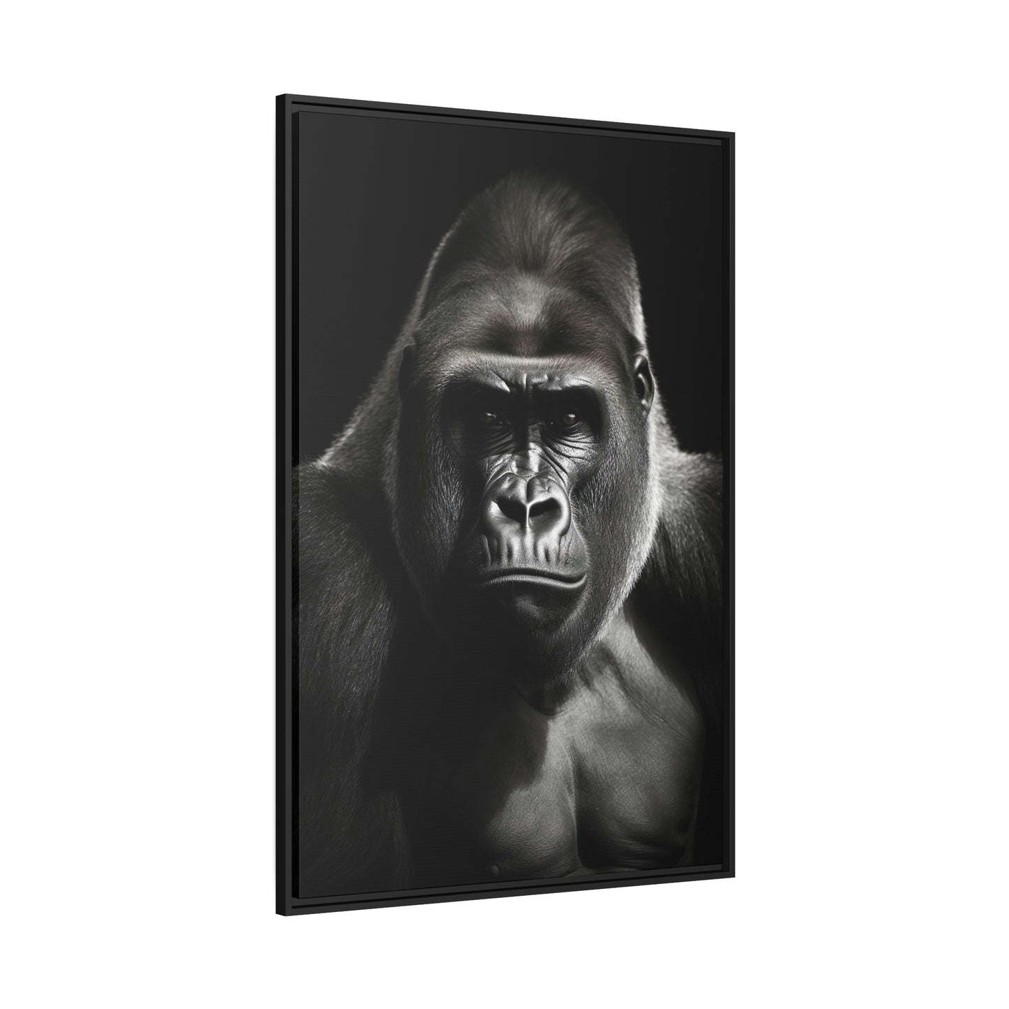 Gorilla Black & White