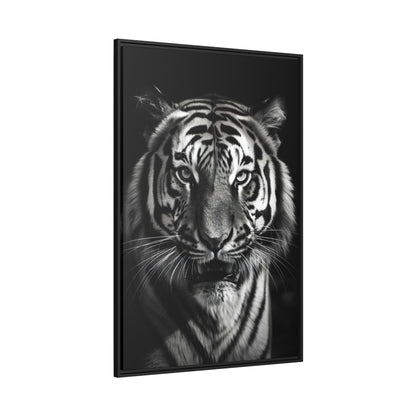 Tiger Black & White