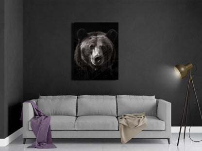 Bear Black & White