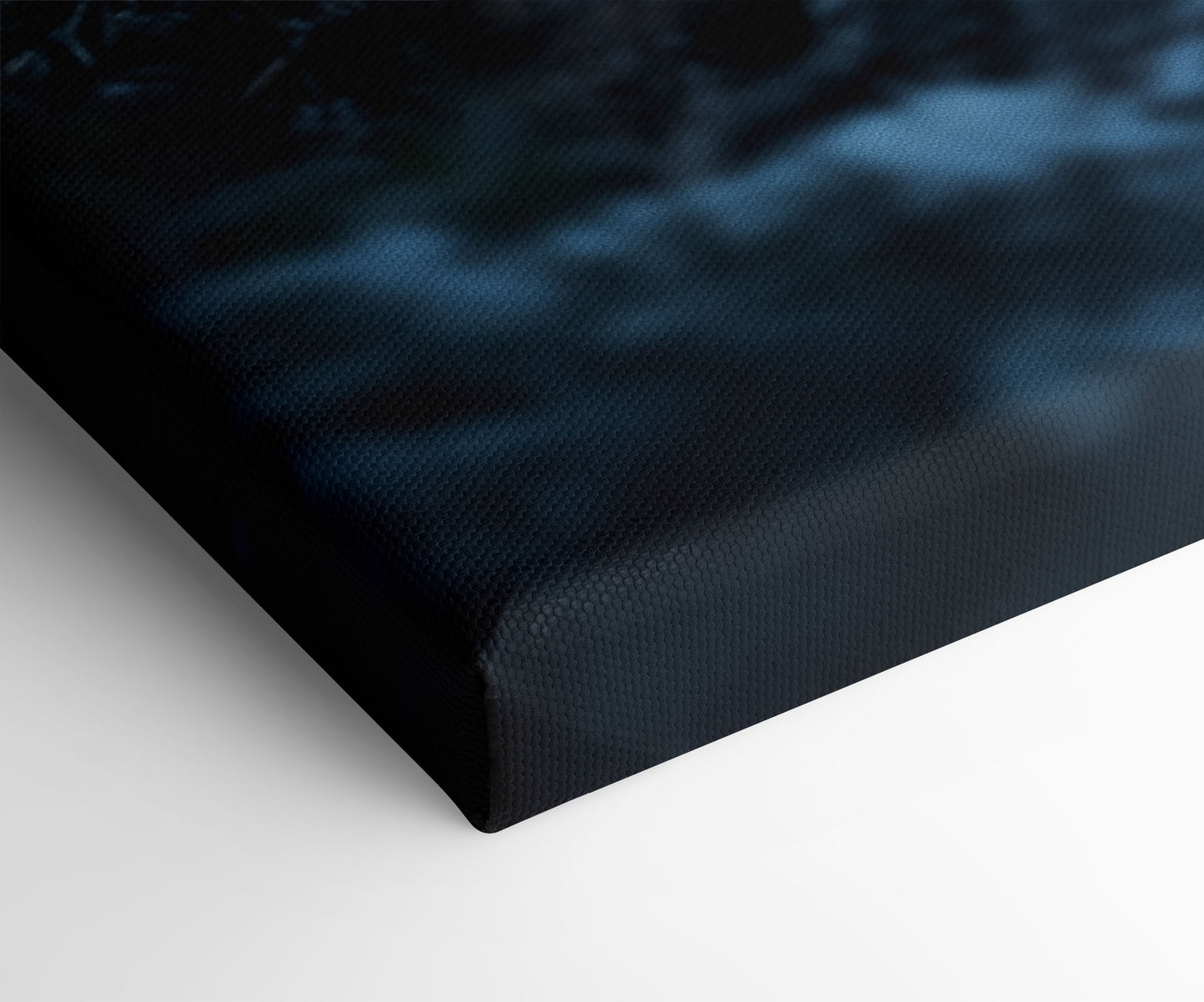 Panther Misty Jungle