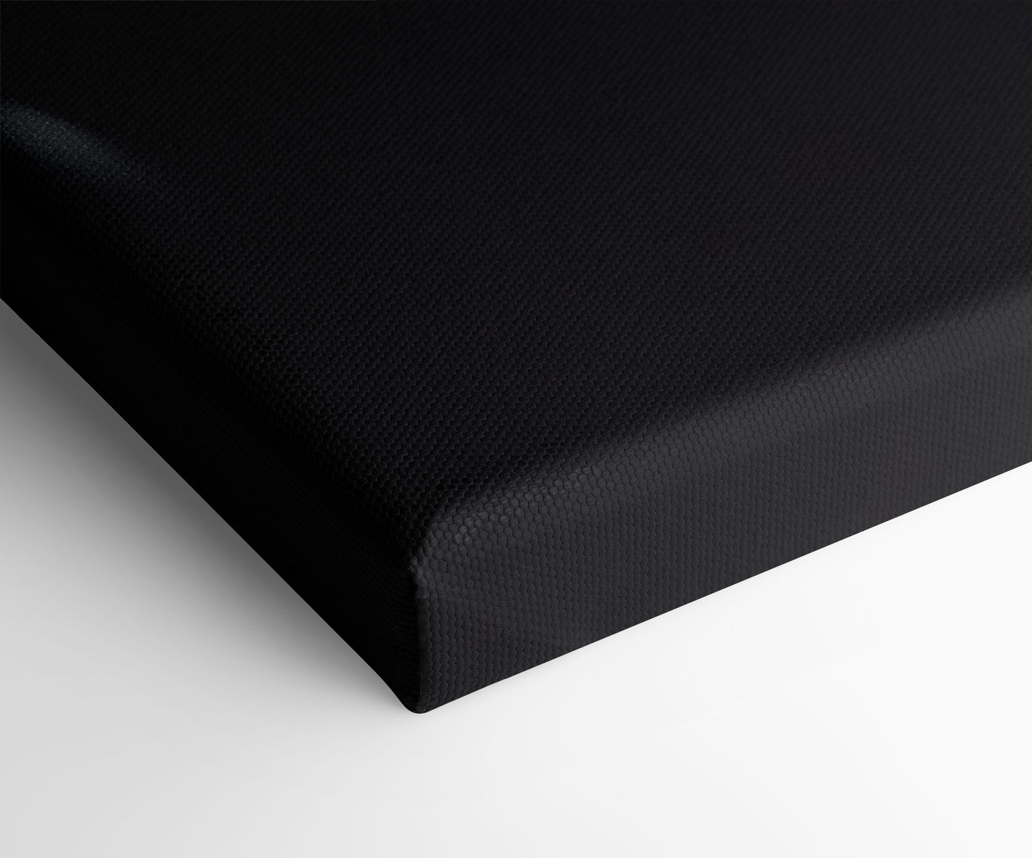 Moody Noir Pin Up Art