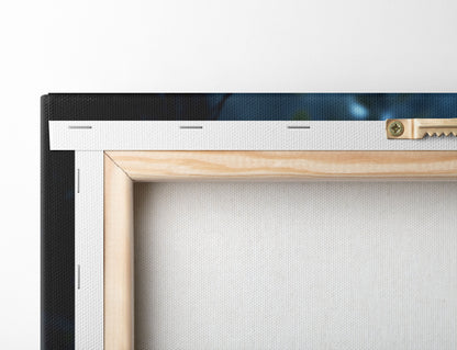 Panther Misty Jungle