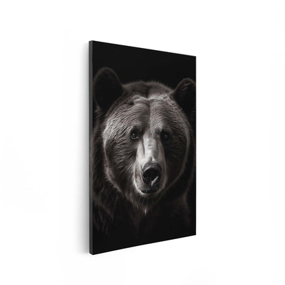 Bear Black & White