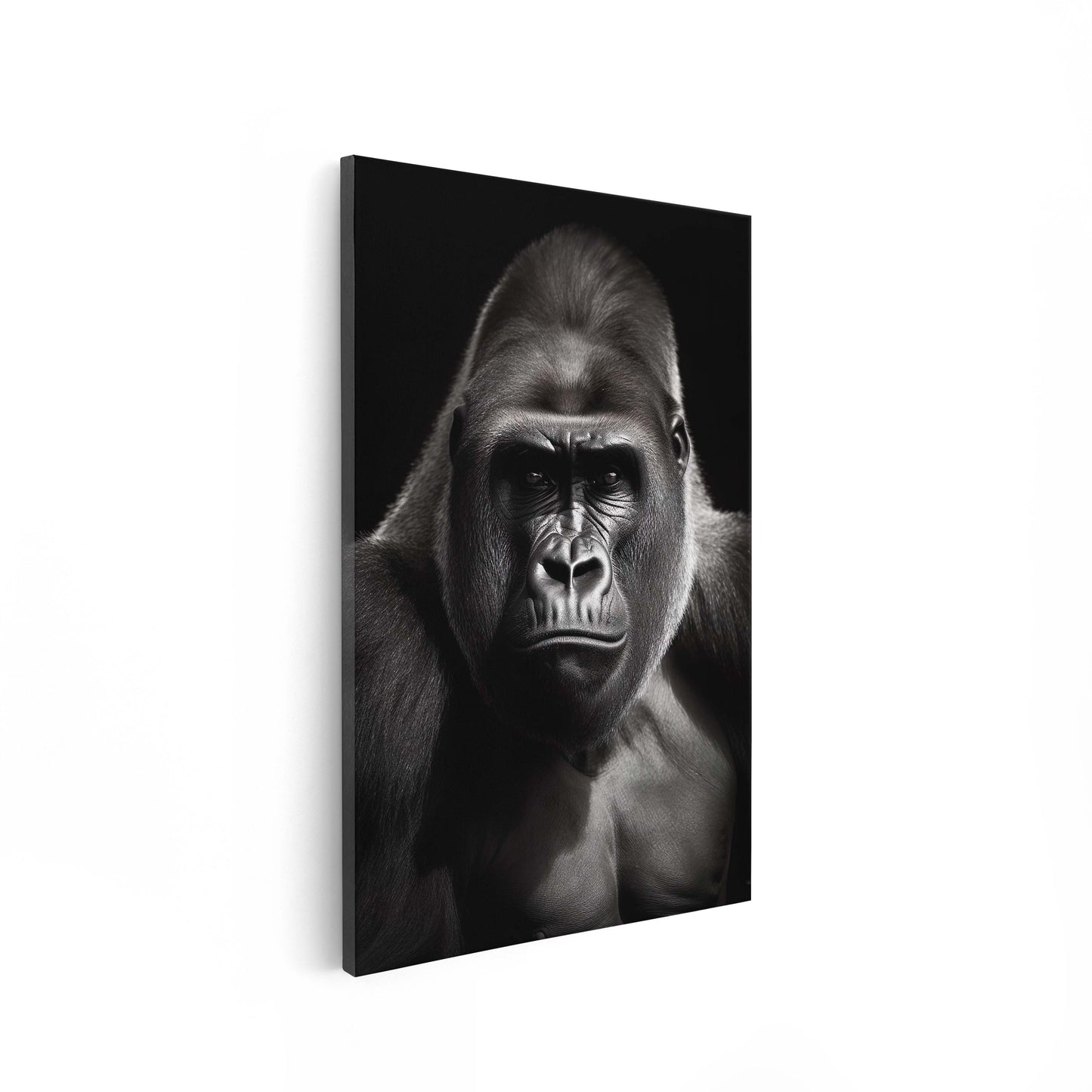 Gorilla Black & White