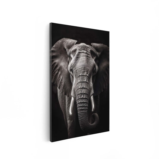 Elephant Black & White