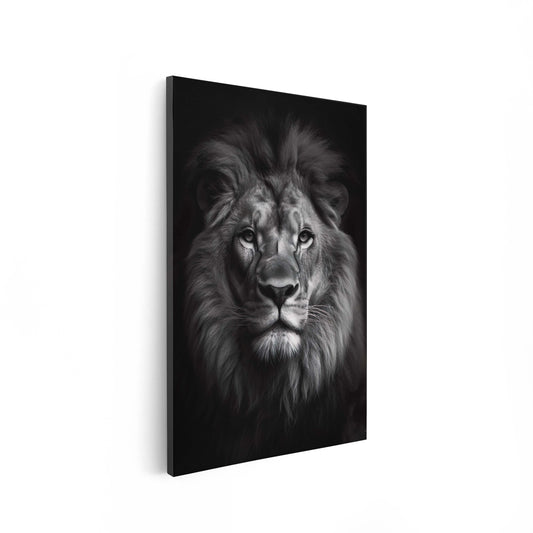 Lion Black & White