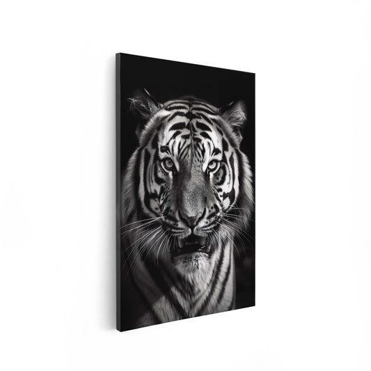 Tiger Black & White