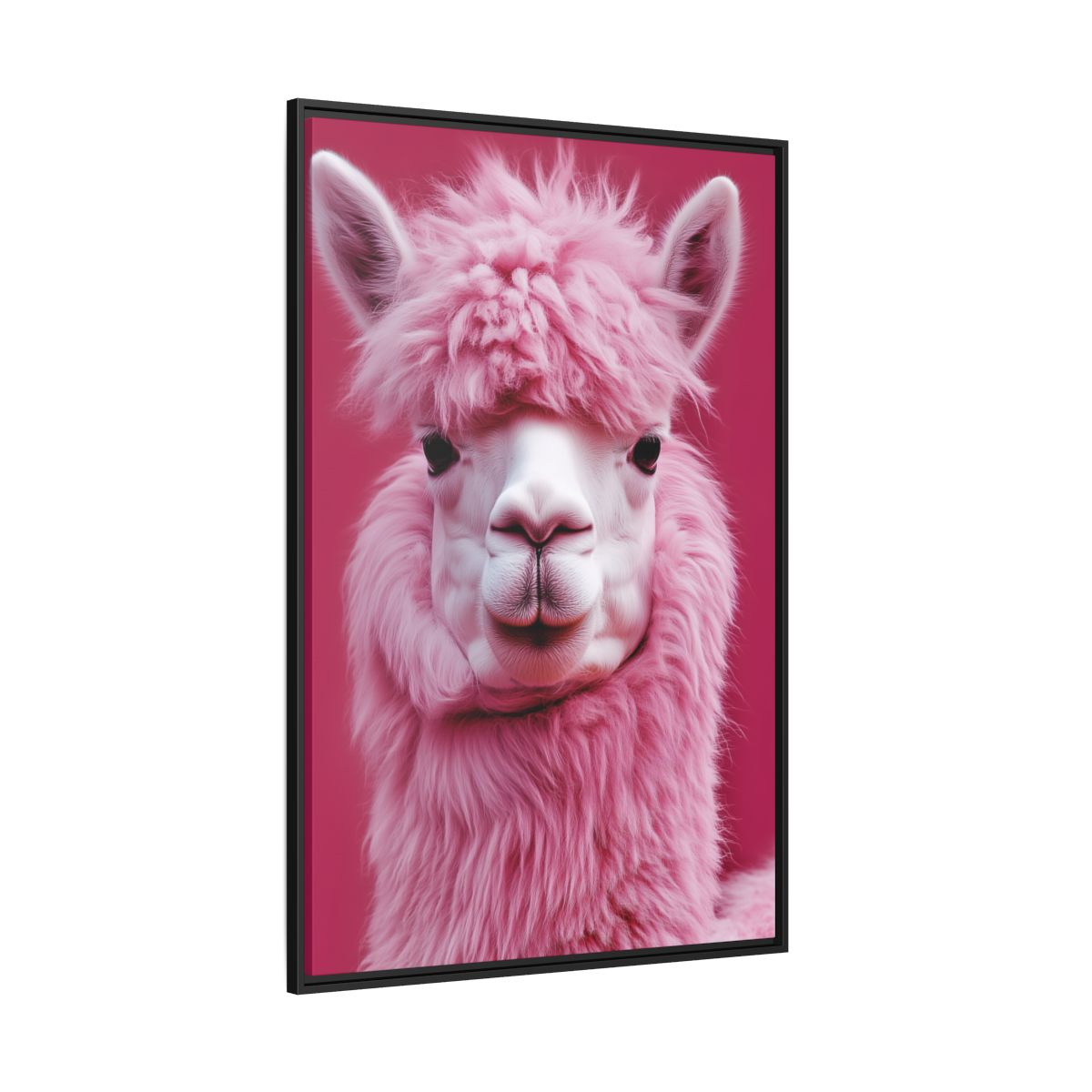 Pink Alpaca
